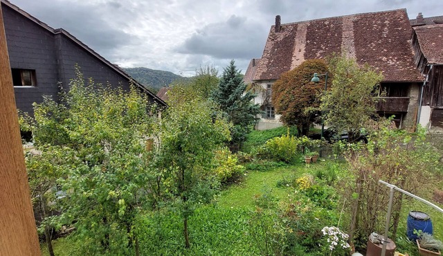 Flat "Giselas Ruheplatz"