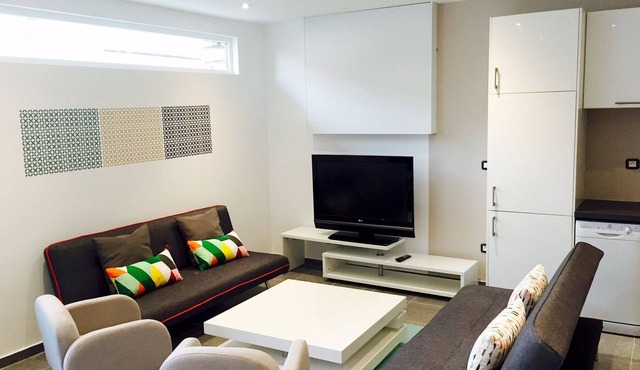 Flat on 2 Levels stadium of France