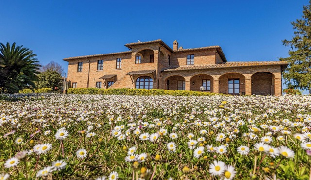 Flat,one floor,private terrace,A/C,wine estate with pool,Spa,children friendly in Toscana