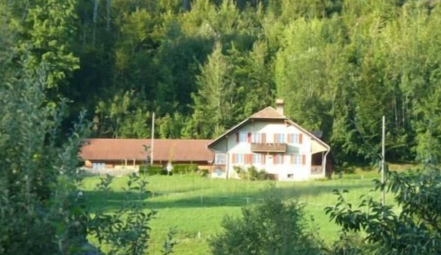 Flat "Südhang Rüschegg"