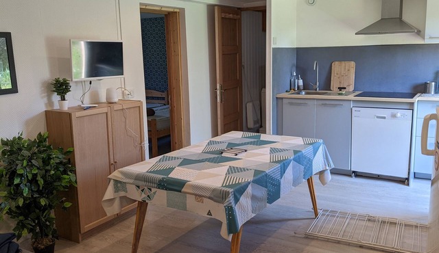 flat tray small rocks