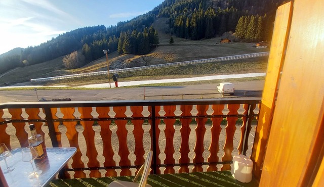 Flat w/ panoramic mountain view + near ski slopes in Le Biot