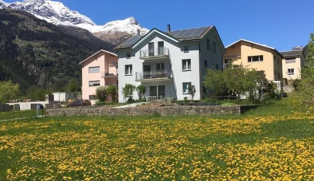 Flat with mountain view