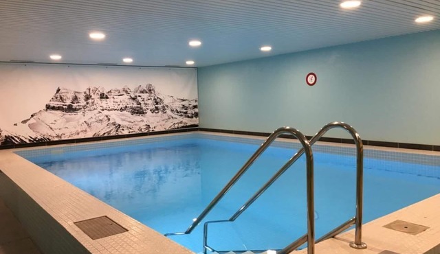 Flat with swimming pool, close to the ski slopes