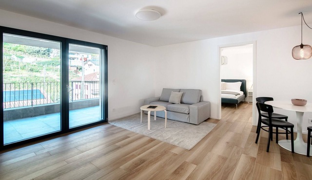 Flat with vineyard view near Bellinzona (GRAPPOLI 28)