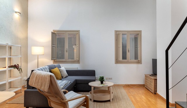 Flateli. Cort Reial 7