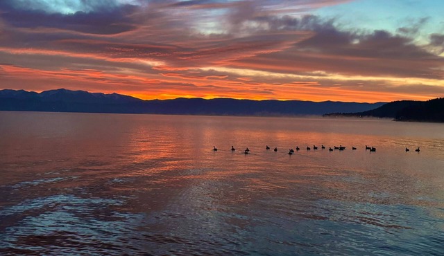 Flathead Lake Villa - 4 Bedroom Guest House