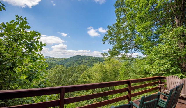 Fleetwood Falls - VIEWS - Lake and New River Access - Close to Todd & Boone - 30 Min to Skiing