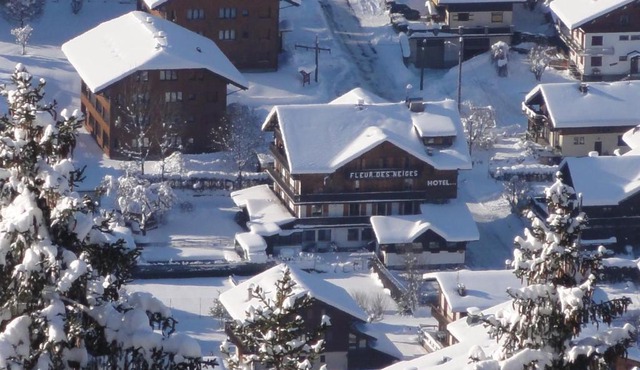 Fleur des Neiges