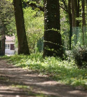 Fleurs de Brenne Gite