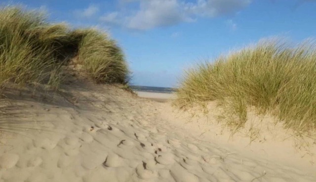 Flint Cottage - a charming home and dog friendly!