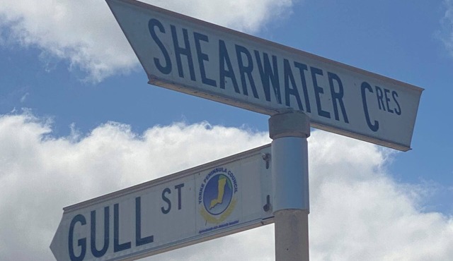 Flippers Beachouse 🐬home away from home☀️