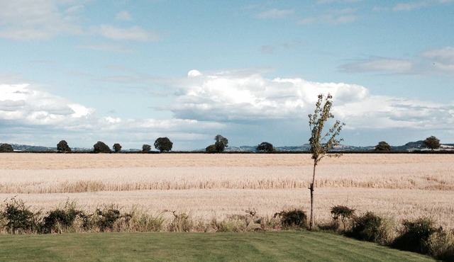 Flisk, Powgavie Cottages (PK13146P)