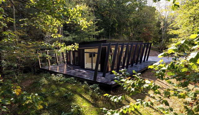 Flora Springs, Modern 2-bedroom cottage nestled in away with cliff and creek side views