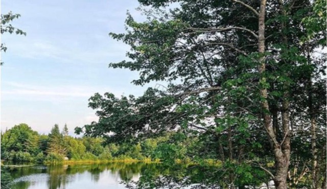 Flora Studio on the Lake