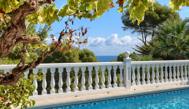 Flores 4 pax - Javea, Costa Blanca