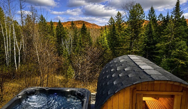 Floresta, Sauna, Foyer & vue Magnifique!