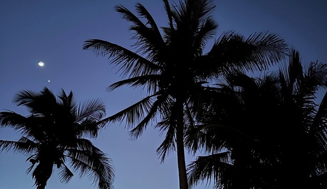FLORIDA BEACH HOUSE RIGHT ON THE OCEAN - Spring and Summer discounts now!