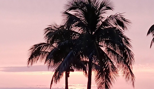 Florida Pine Island Paradise Get-Away in Bokeelia