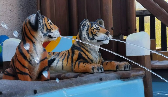 Flower Camping Saint Amand * - Mobile home Premium Patio 30m2 (2p-2ch), Clim, TV, dishwasher, bed 160, plancha, Nespresso 4 people