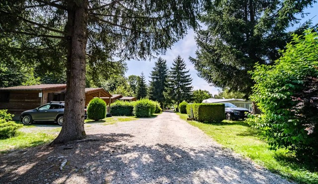 Flower Camping du Lac de la Seigneurie * - Chalet CONFORT Alpina 1 28 m2 (1 bedroom + 1 mezzanine bedroom) + wooden stove(011) 4 persons