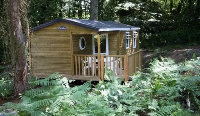 Flower Camping La Chênaie * - Mobile home Standard Wood 31m2 3 bedrooms + semi-covered terrace 18m2 + TV 6 persons