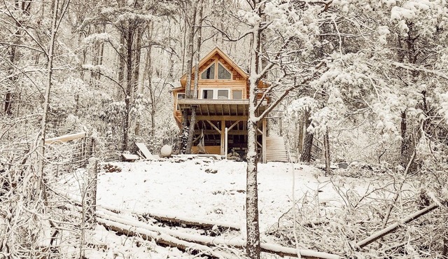 Flowertown Charm Off-Grid Treehouse w/Highland Cows