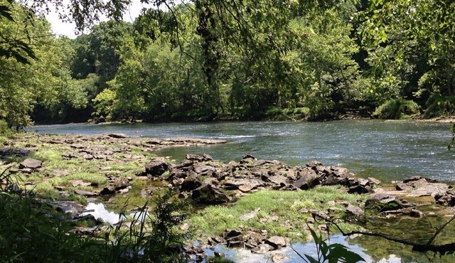 Fly-fishing Hideaway