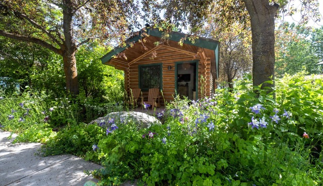 Flying Saddle Resort