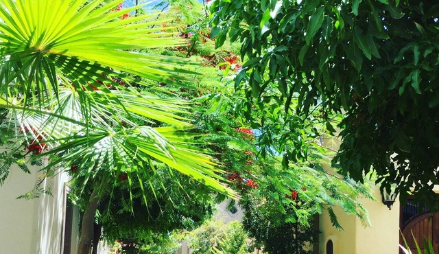 FN246- 3 Bedroom Private Villa