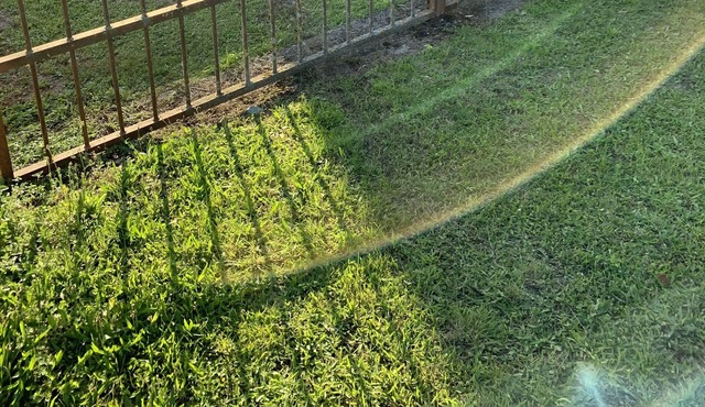 Following the campaign