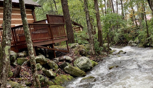 Foot of the Smokies, quiet wooded paradise. Gatlinburg Pigeon Forge