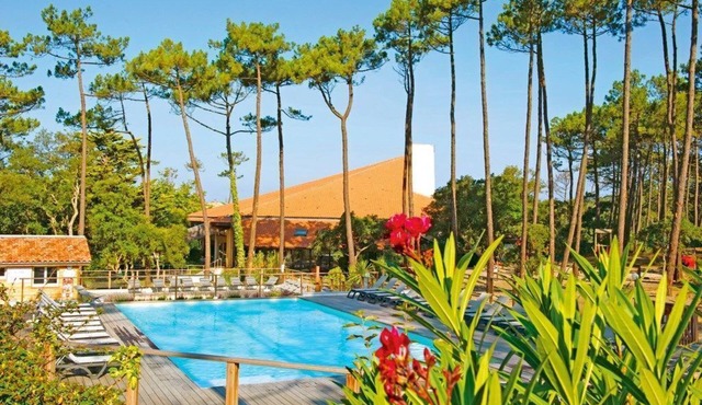 Forêt et Océan | Appartement Abordable!