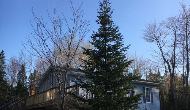 For all ages to be together but have lots of space and fun!