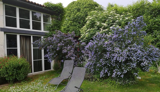 For an ocean-champagne holiday