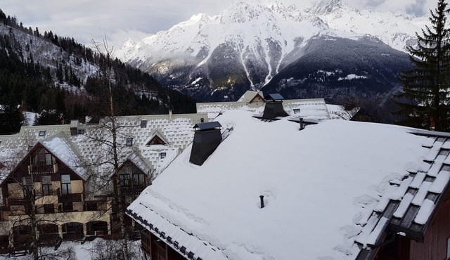 For rent luxury apartment 6 to 8 p in chalet in the mountains-Oz en Oisans-Franc