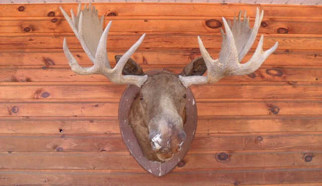 FOR THE NEW BREED OF RENTER