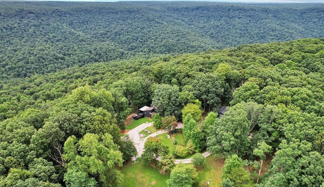 Forest At Weblon's Retreat