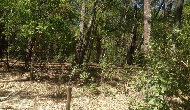 Forest cabin comfortable for 8 people