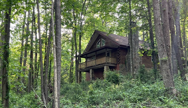 Forest Cabin Moments from Stone Mountain