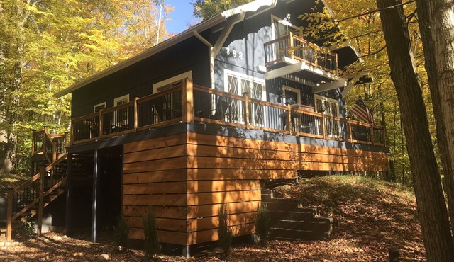 Forest Chalet in winter sport capital