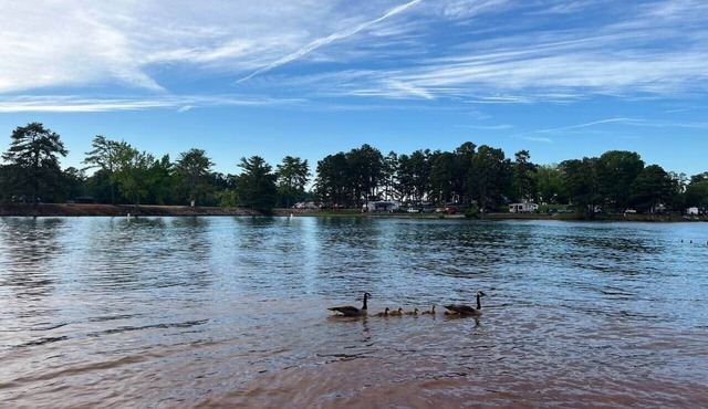 Forest Comfort Modern 2BR by Lakes & Clemson