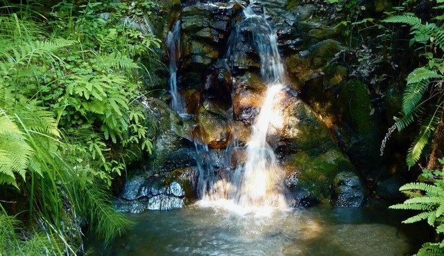 Forest Cottage in Big Sur w/Private Hiking & Hot Tub