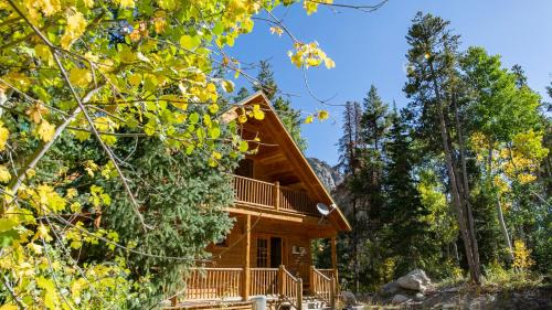 Forest Creek Cabin- Beautiful Mountain Getaway!