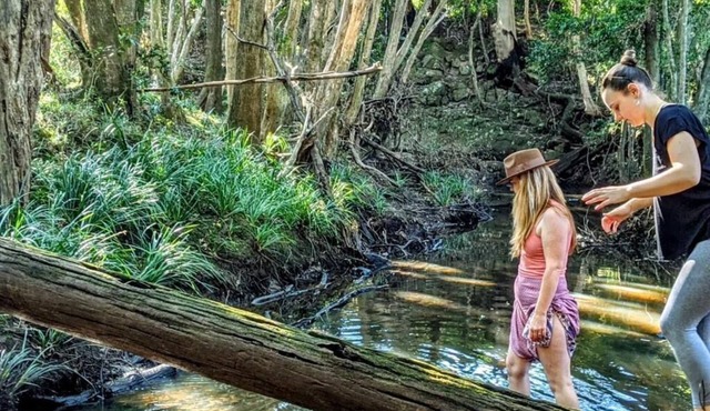 Forest Creek Retreat - Double Room with Mountain View