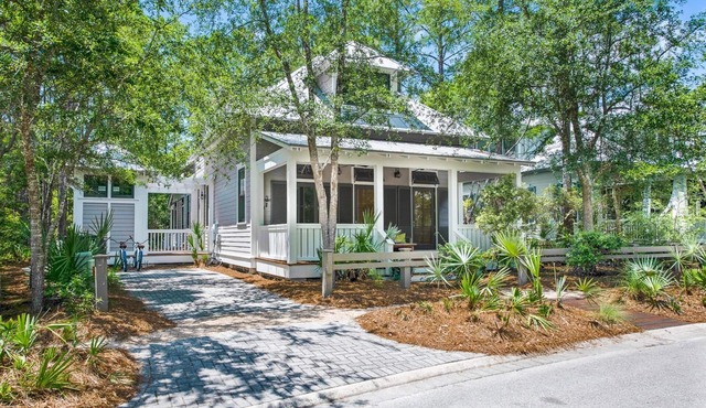 Forest District. Gas Grill with Nice Porch Space! 3 Adult Bikes!