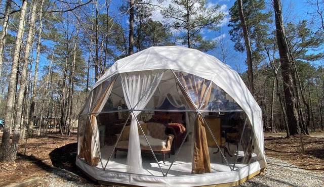 Forest Dome Near Lake Oconee | Artistic Design