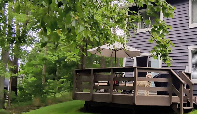 🌲 Forest Edge | Updated Family Friendly Retreat Fireplace Forest Views
