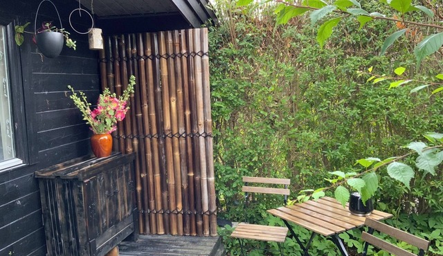 Forest environment in the city center close to beach and forest