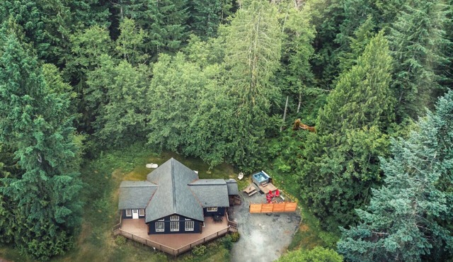 Forest Escape by Stay in Nest - SPA/Mt Rainier NP